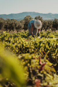 produzione2023
